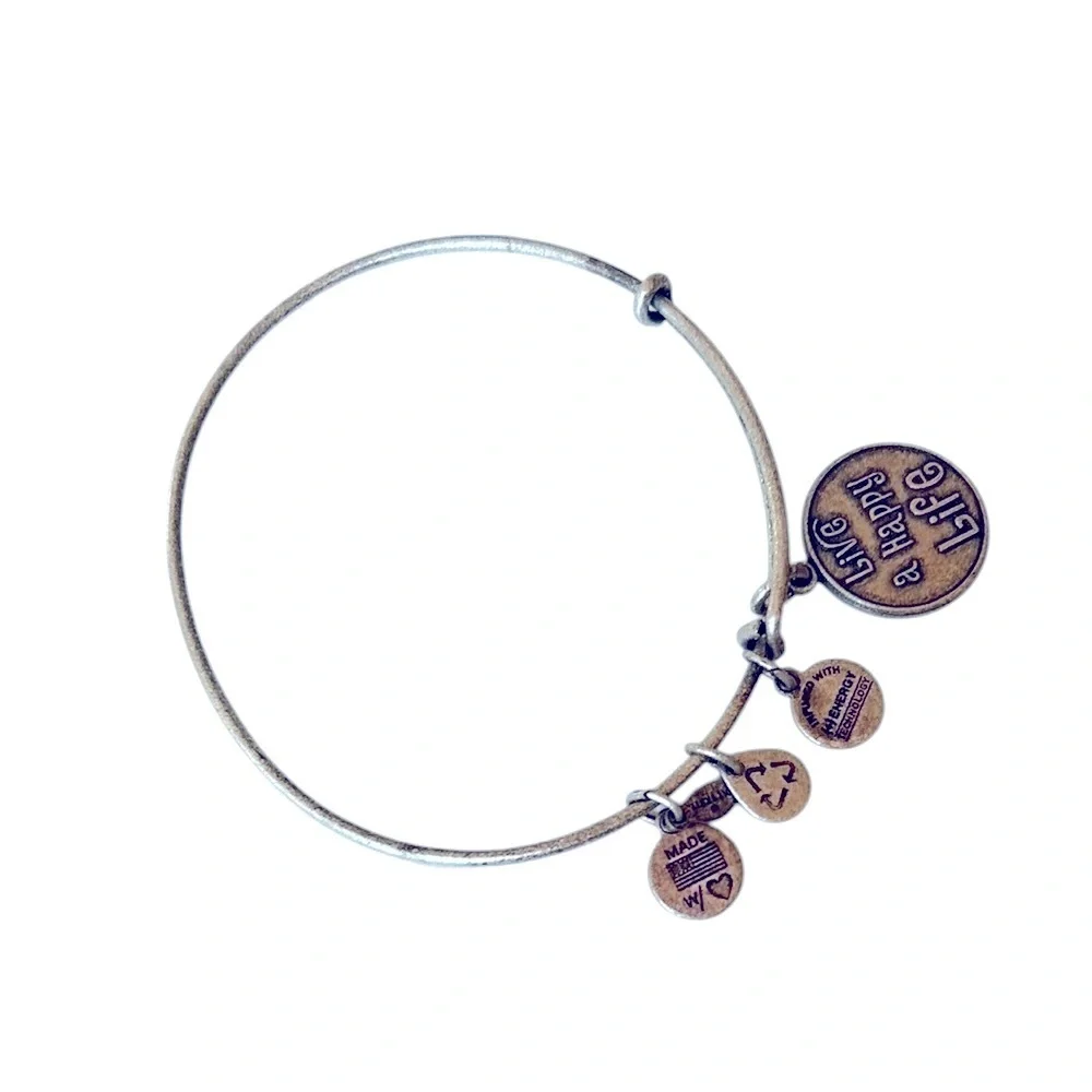 Alex and Ani elegant silver